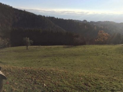 Bild 6:Einstellplatz für Pensionspferde