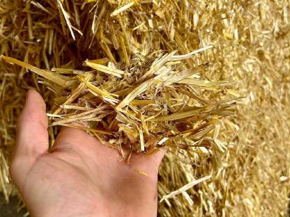 Bild 3:Stroh Quaderballen