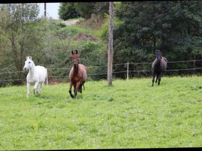 Bild 8:Einstellplätze frei