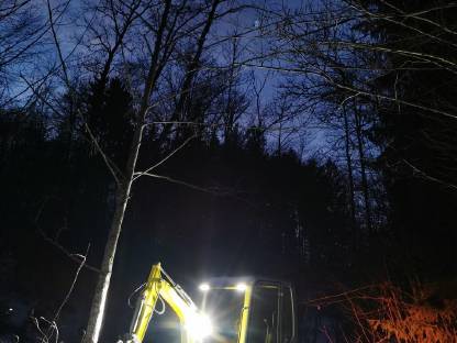 Bild 2:Fällgreifer, Baumschere, Zwicker