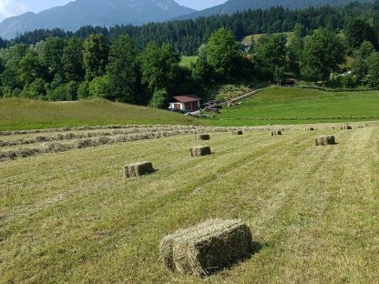 Kleinballen