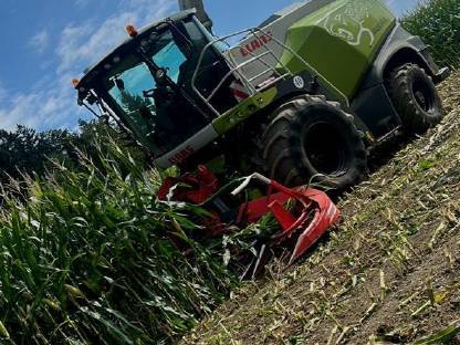 Bild 3:Maisballen zu verkaufen