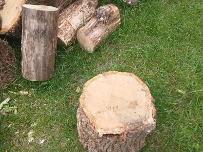 Holz spalten
