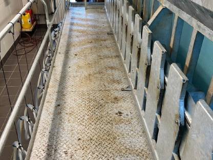 Bild 3:Komplett bestückter Ziegen/Schafmelkstand inkl. GEA Technik