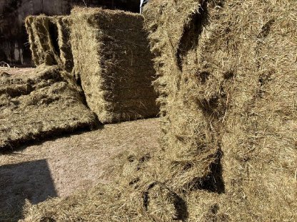 Bild 3:Hexel-Heu in Quaderballen 90er