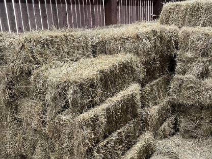 Bild 2:Kleinheuballen