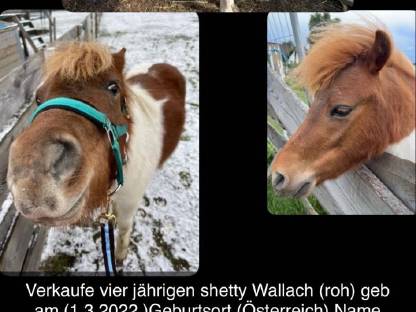 Shetty
