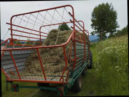 Bild 3:Landwirtschaftliche Maschinen Steyr Ladewagen Hamster Plus