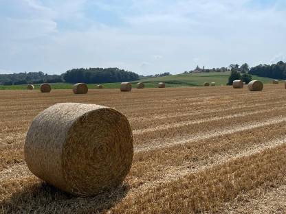Stroh-Rundballen Ernte 2025