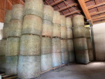 Bild 4:BIO Heu 2025, Naturland, Bio Austria