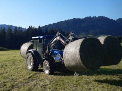 Heu Grummat 2. Schnitt 2024