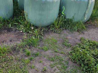 Grassiloballen