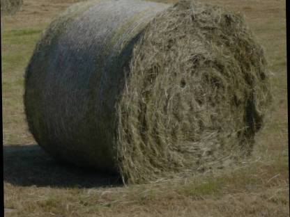 Biowiesheuballen - Ideal für Pferde