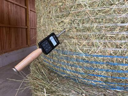 Bild 2:Heu 1. Schnitt 2024