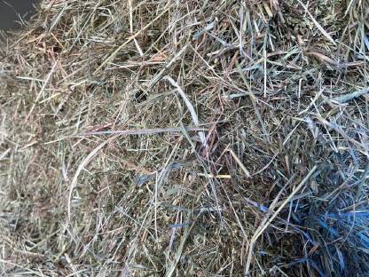 Bild 2:Bio Heu Kleinballen (Wiesenheu)