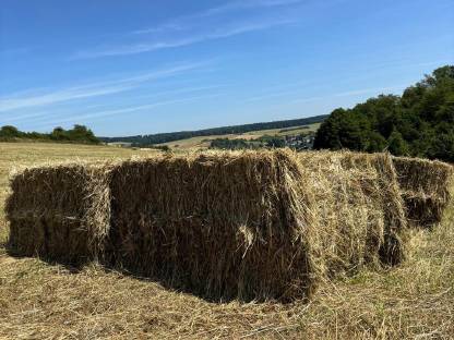 Bild 2:Kleine Heuquaderballen