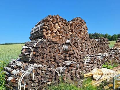 Birken Brennholz
