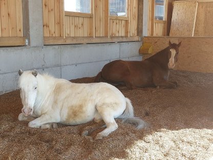 Bild 6:Einstellplatz