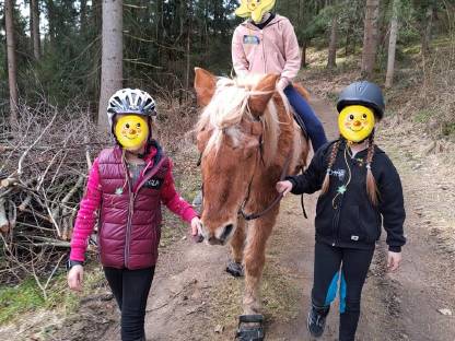 Ferien mit den Pferden