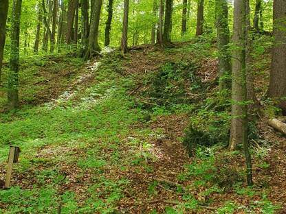 Waldgrundstück 8200 Gleisdorf