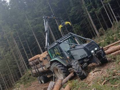 Bild 2:Holzschlägerung