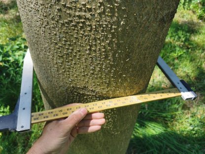 Bild 4:Tag der offenen Plantage