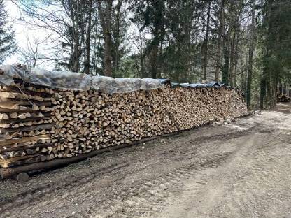 Brennholz Esche
