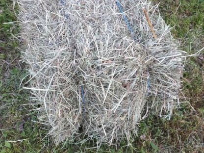 Bild 2:Heuballen klein (Quader) 2025, 1. Schnitt
