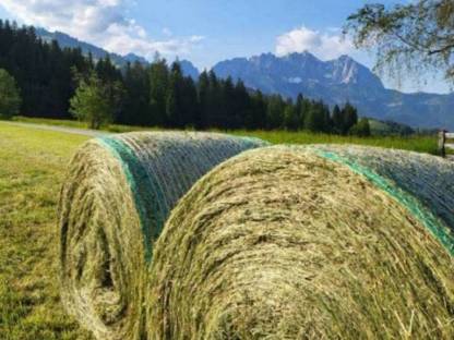 Bio Heuballen 1. Schnitt 2025 zu verkaufen