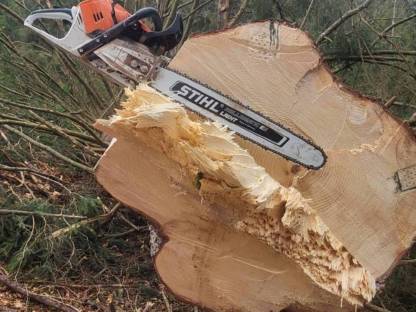 Bild 3:Diverse Forstdienstleistungen