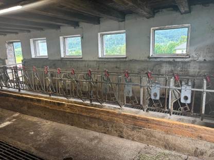 Schauer Aufstallung