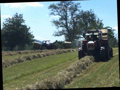 Bild 4:Heuballen 1,25 m