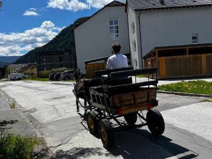 Bild 7:Kutsche für Haflinger oder Pony