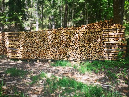 Bild 2:Brennholz