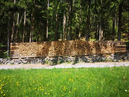 Brennholz