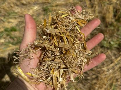 Bild 4:Stroh und Heu