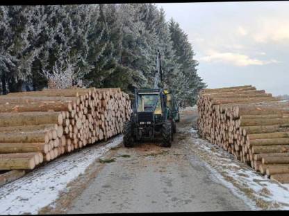 Bild 3:Holzschlägerung