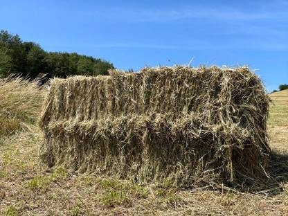 Bild 3:Kleine Heuquaderballen