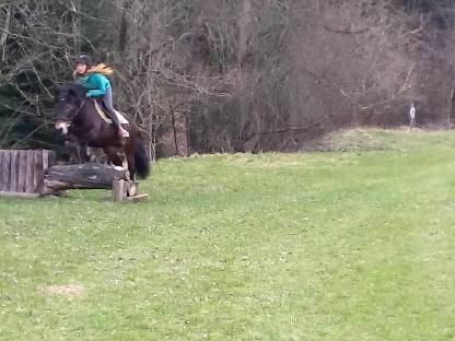 Bild 7:Einstellplätze frei