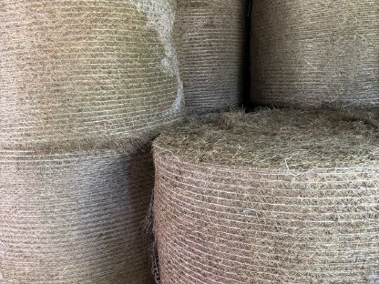 Bild 2:Bioheu 2. Schnitt 2024