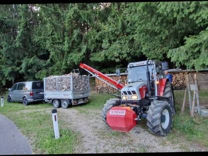 Bild 3:Brennholz Buche Bündel