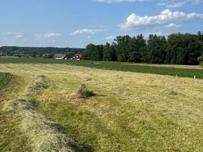 Bild 3:Heurundballen 2024/2025