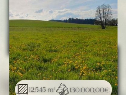 Blumenwiese mit Bachlauf