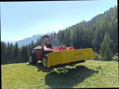 Aebi TT 60 Motor + Getriebe neu