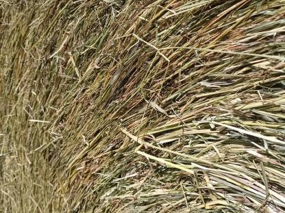 Bild 2:Bio Heurundballen