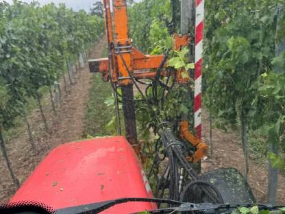 Bild 7:Laubschneider, Laubsauger Binger