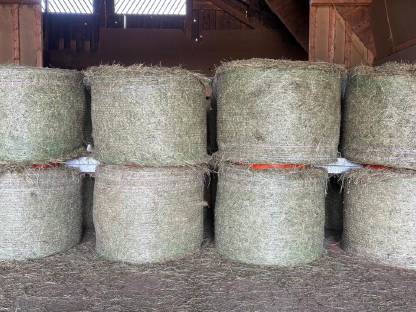 Bild 2:Bio Heurundballen