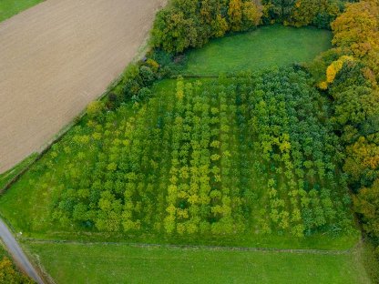 Bild 3:Tag der offenen Plantage