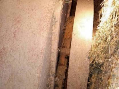 Bild 3:Futterschneidmaschine