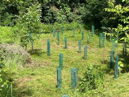 Bild 8:Forstarbeiten